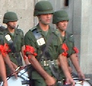 Archivo 3 de Diana